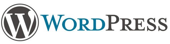 Wordpress Theme Development